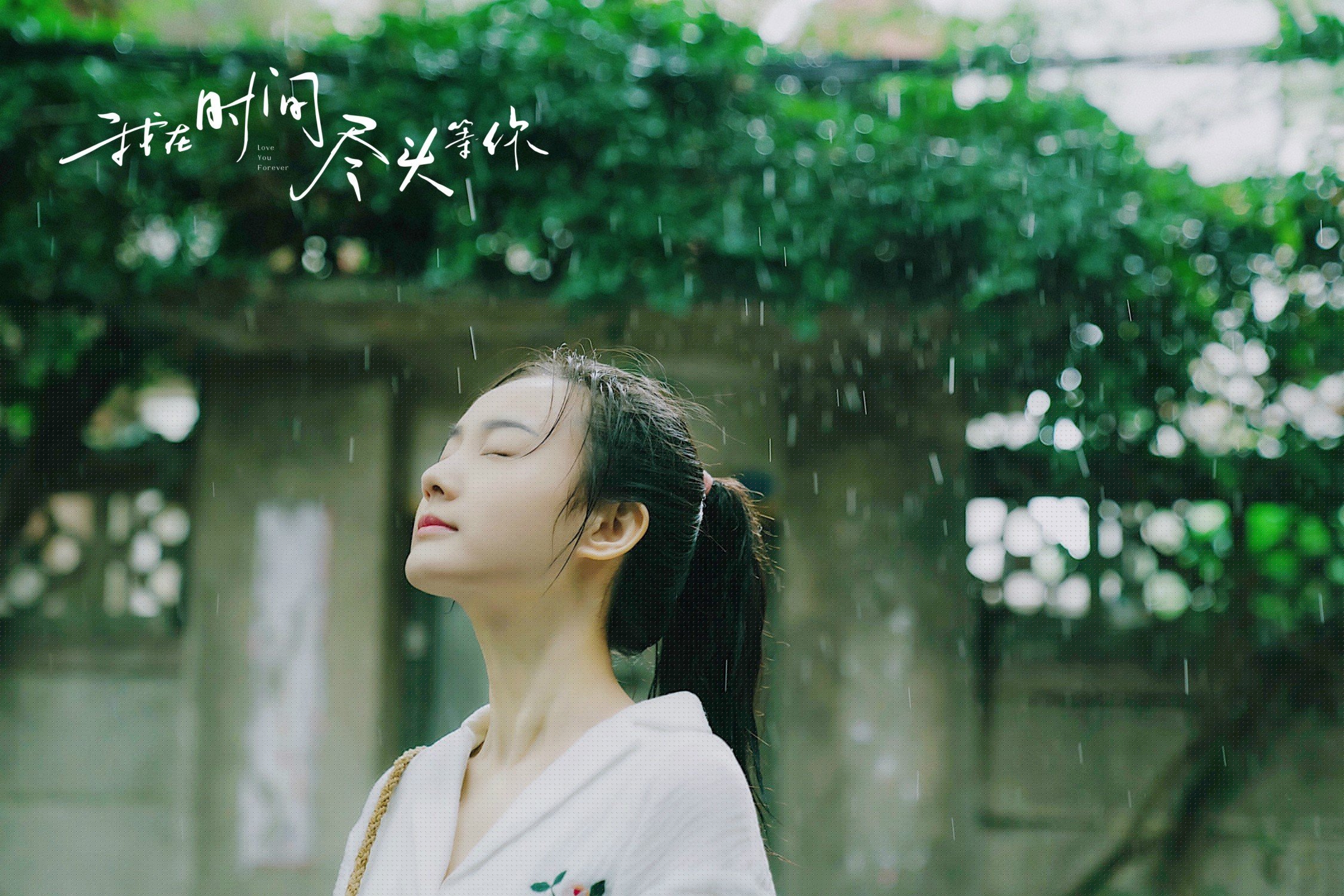 当老鹰的利爪撕裂太阳,切特·霍姆格伦如何成为无解难题