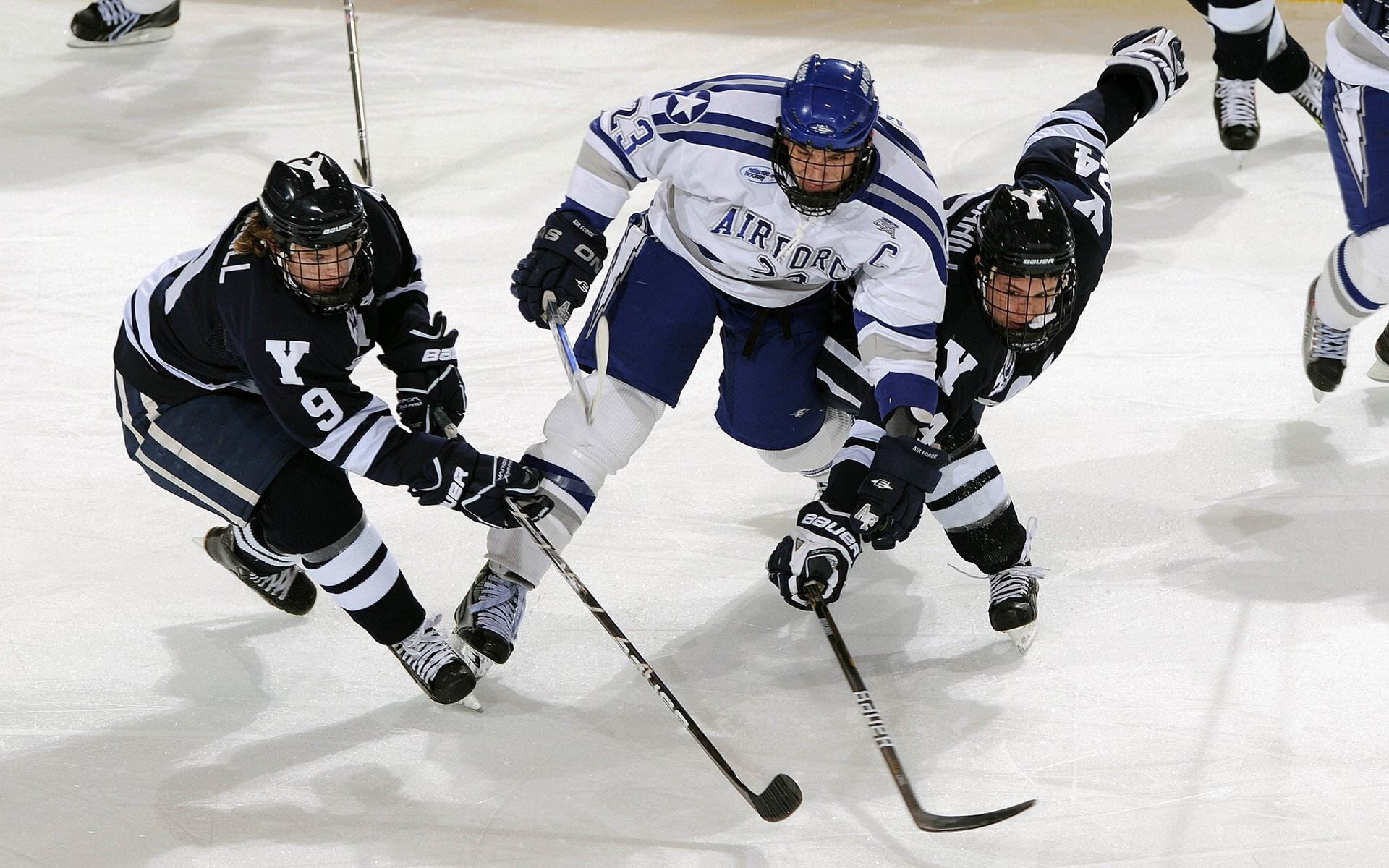 欧冠决赛焦点战，篮网强势晋级掘金